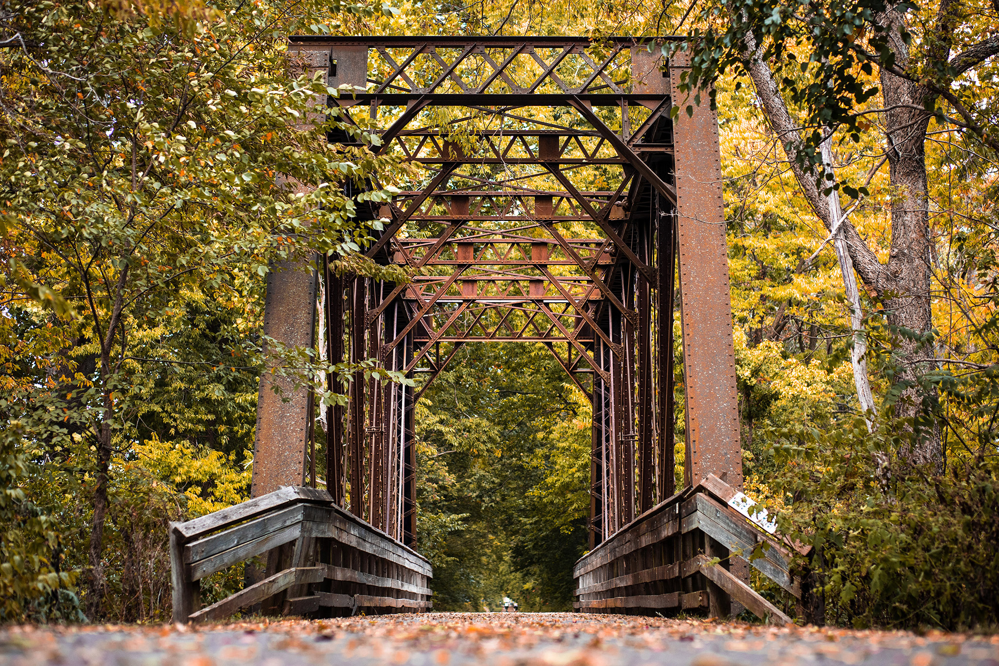 Bike Ride on the Little Miami Scenic Trail